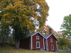 Syysmaisema